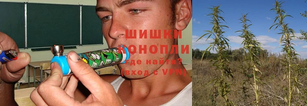 a pvp Аркадак