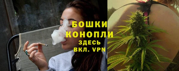 a pvp Аркадак