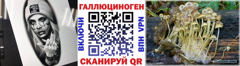блэк спрут tor  Новоржев  Галлюциногенные грибы ЛСД 